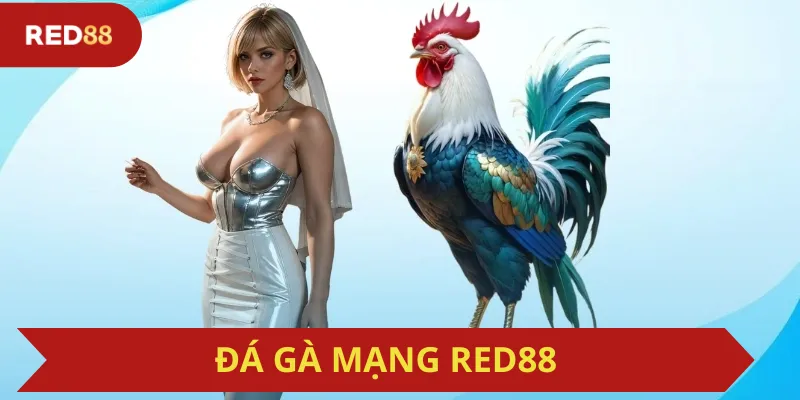 Đá Gà Mạng Red88