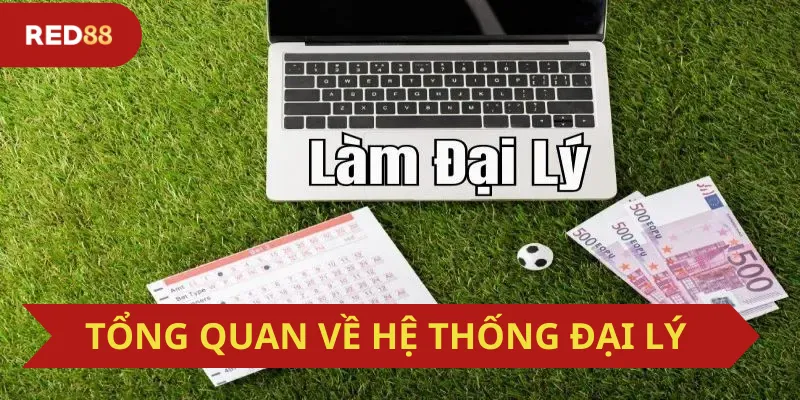 Tổng Quan Về Hệ Thống Đại Lý